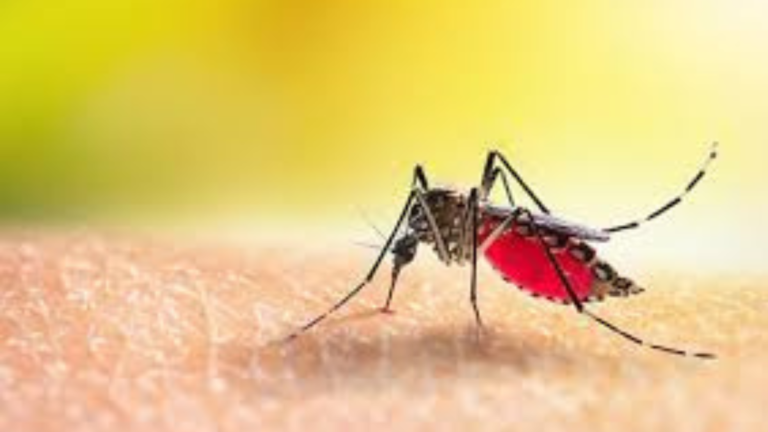 Meeting with DMs and health authorities from the 4 worst dengue-affected districts is held by the West Bengal Chief Secretary.