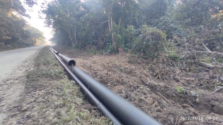 Assam: Environmental groups oppose oil pipeline setting inside eco-sensitive zone of Dehing Patkai National Park