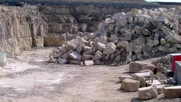 Assam: Woman injured in Namrup stone crushing unit dies