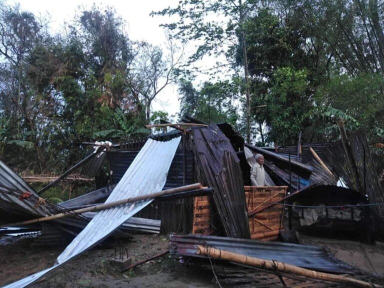 Assam: 64 villages affected in Dibrugarh due to massive hailstorm