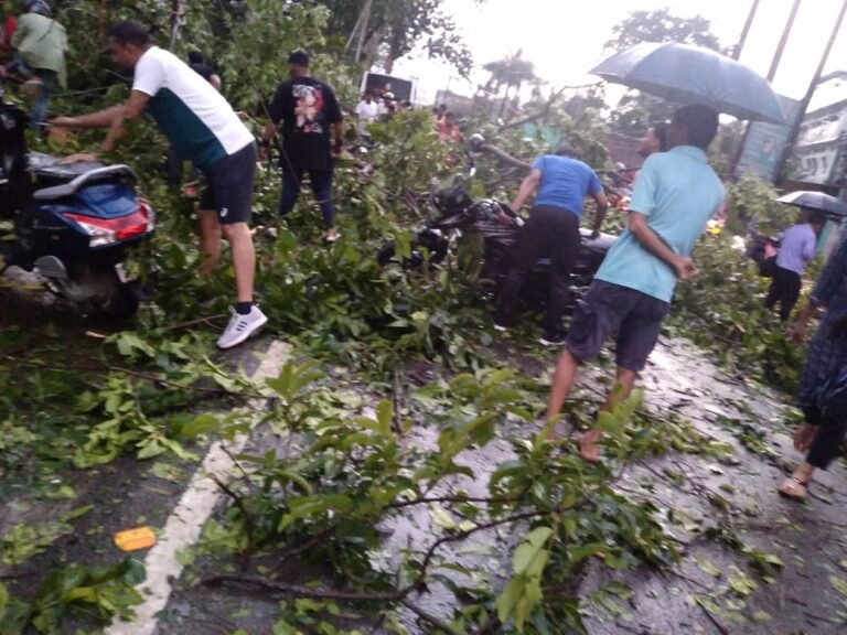 Assam: 1killed in massive hailstorm in Dibrugarh