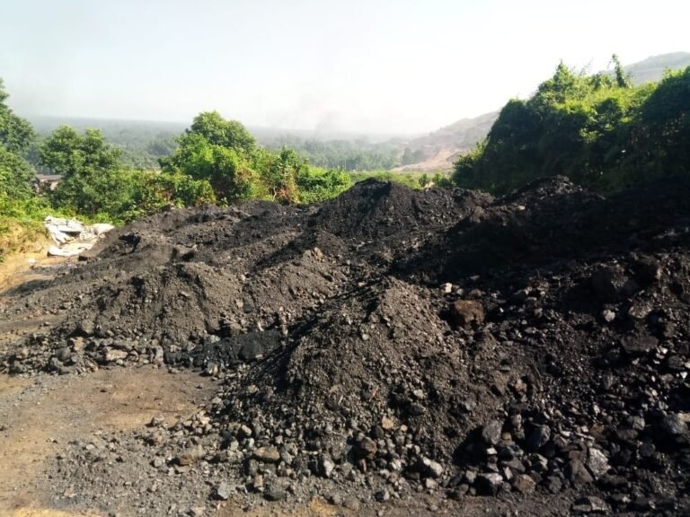 Assam’s Illegal coal mining: Margherita turns gangs of Wasseypur