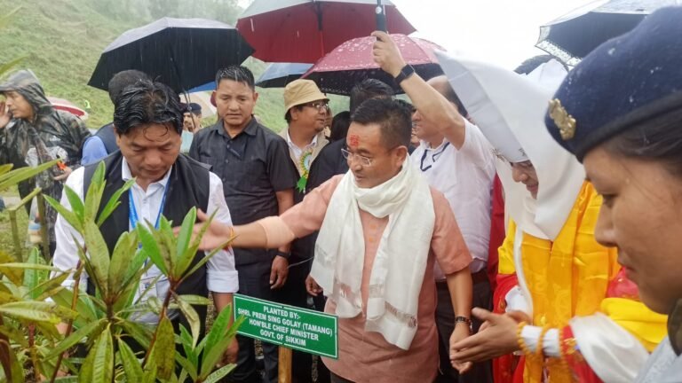 Sikkim: One lakh trees planted in Sikkim since World Environment Day
